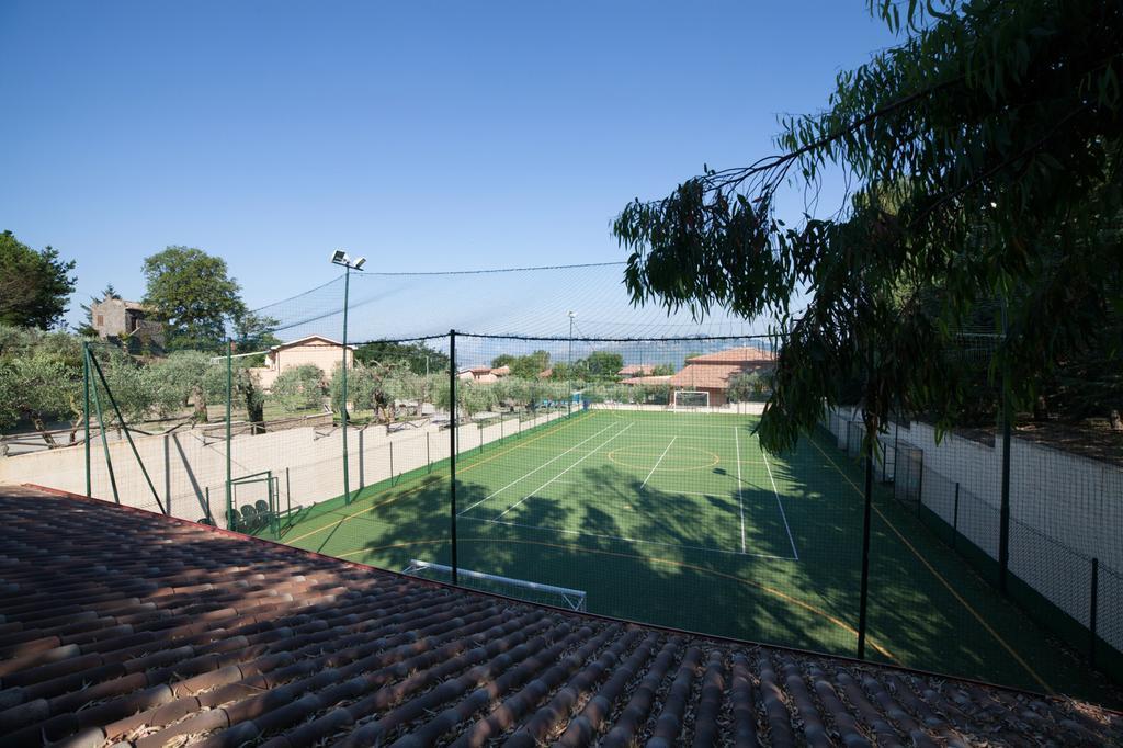 Agriturismo La Molara Сеса Аурунка Екстериор снимка