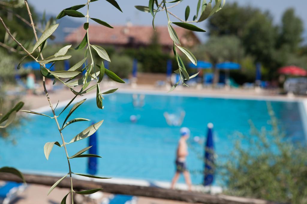 Agriturismo La Molara Сеса Аурунка Екстериор снимка