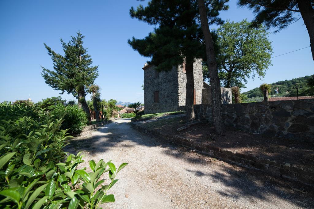 Agriturismo La Molara Сеса Аурунка Екстериор снимка